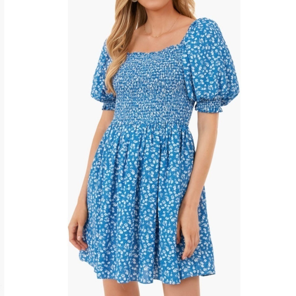 NEW Hyacinth House Floral Puff Sleeve Mini Dress Women’s S Blue Tuckernuck Party